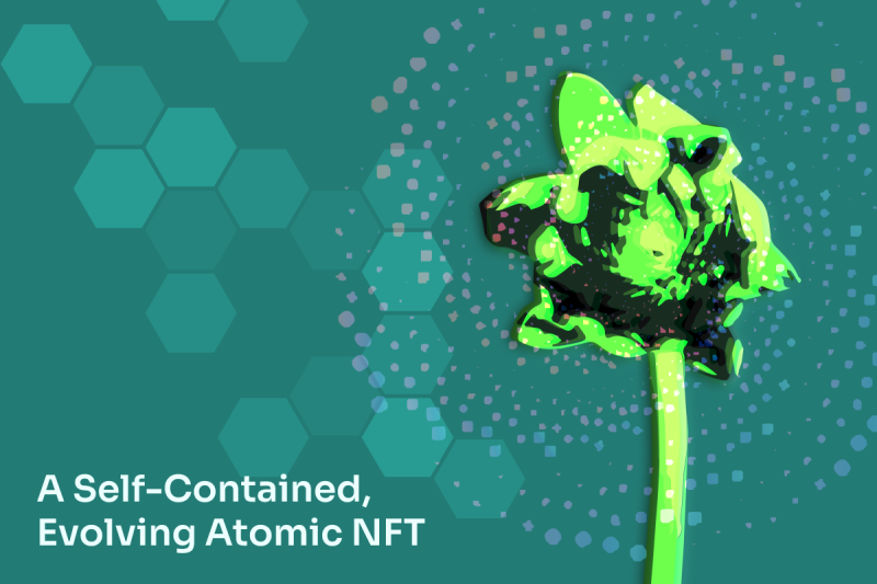 Koii’s Vision of the Future is Blooming – in the Form of a Self-Contained, Evolving Atomic NFT